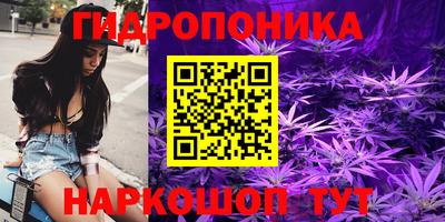 прущие крисы Нальчик