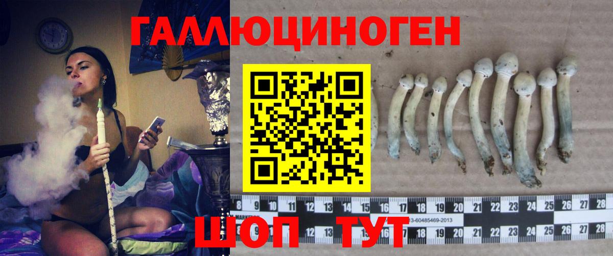 Фролово  дарнет шоп  Вход с VPN  Псилоцибиновые грибы MAGIC MUSHROOMS 